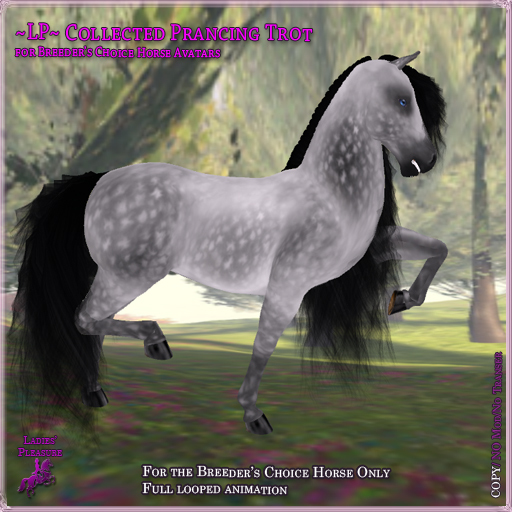 ~LP~ BC Trot Animation - Collected Prancing Trot