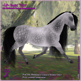 ~LP~ BC Trot Animation - Basic Trot 