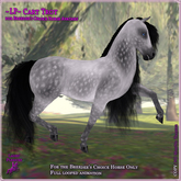 ~LP~ BC Trot Animation - Cart Trot