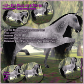 ~LP~ BC Trot Animation - Fat Pack of 6