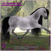 ~LP~ BC Trot Animation - Extended Trot
