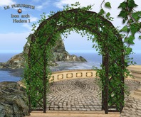 Fleuriste☼Iron Arch Hedera1