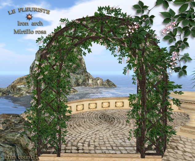 Fleuriste☼Iron Arch Mirtillo Rosa