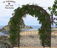 Fleuriste☼Iron Arch Vine Fucsia