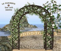 Fleuriste☼Iron Arch Jasmine