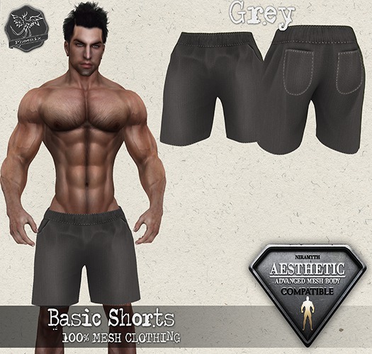 .:Phoenix:. Aesthetic Basic Shorts GREY