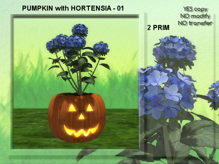 HALLOWEEN PUMPKIN with HORTENSIA - 01