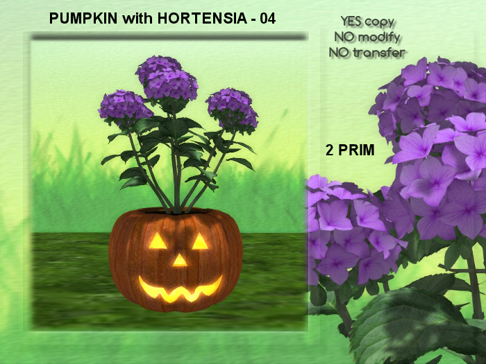 HALLOWEEN PUMPKIN with HORTENSIA - 04