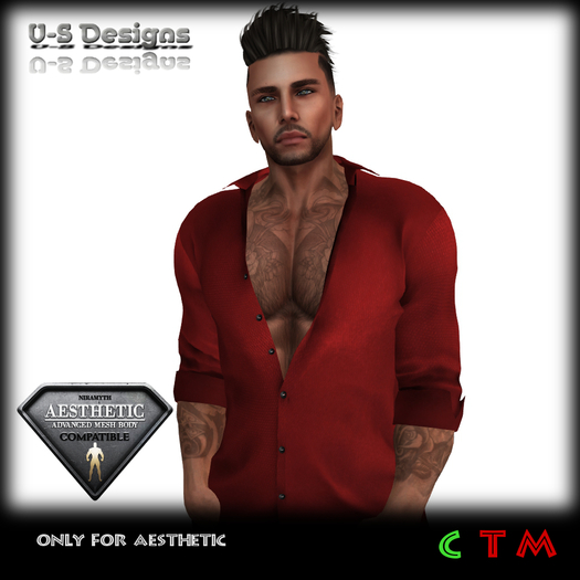 Red Shirt-Niramyth Aesthetic only