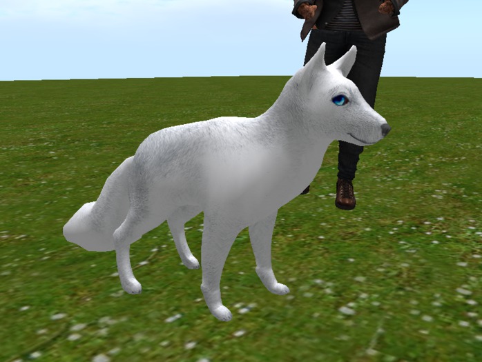 fox sitting fur and silver