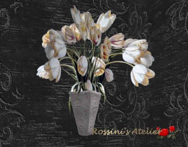 White tulips