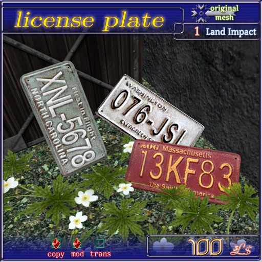 license plate