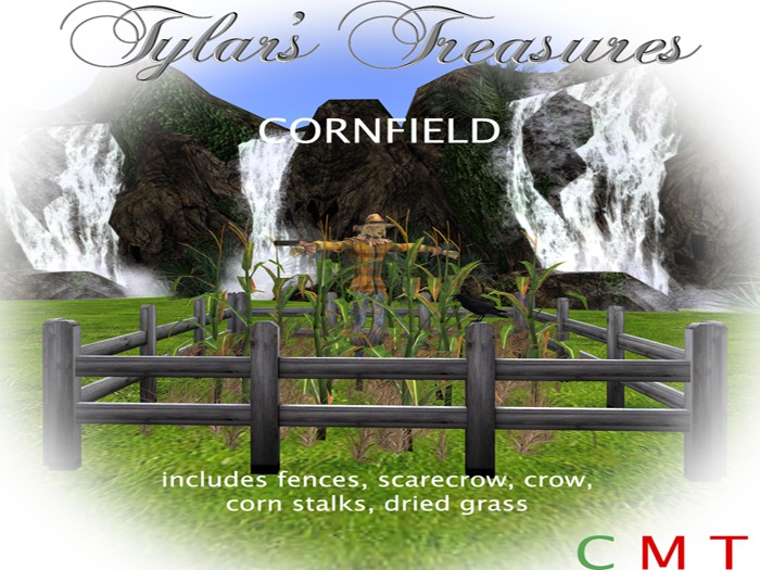 .:TT:.  CORNFIELD boxed