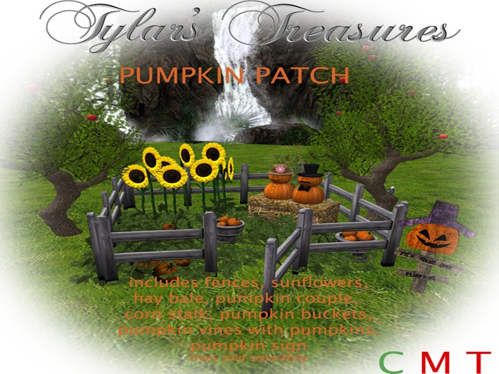 .:TT:.  PUMPKIN PATCH boxed