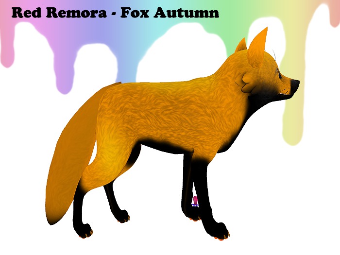 Red Remora - Fox Autumn - pumkin