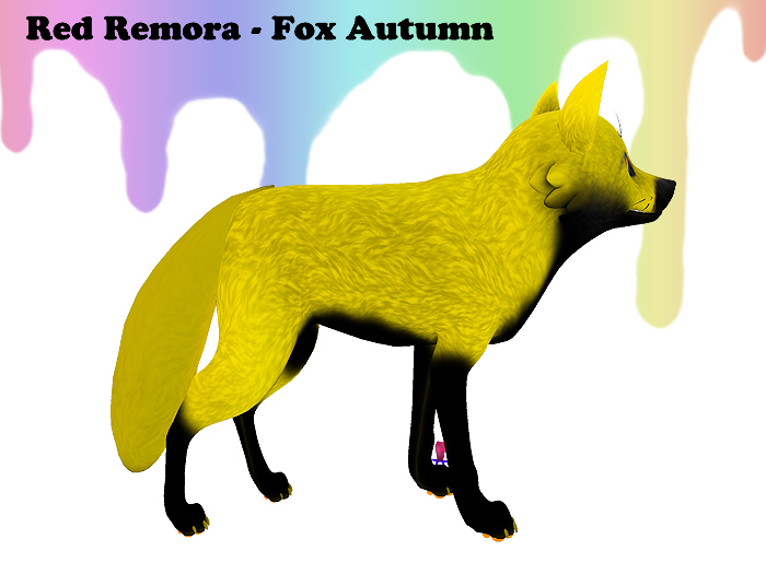 Red Remora - Fox Autumn - yellow