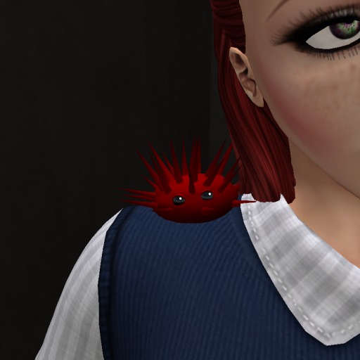 (7S) Common Stuff: Red Sea Urchin
