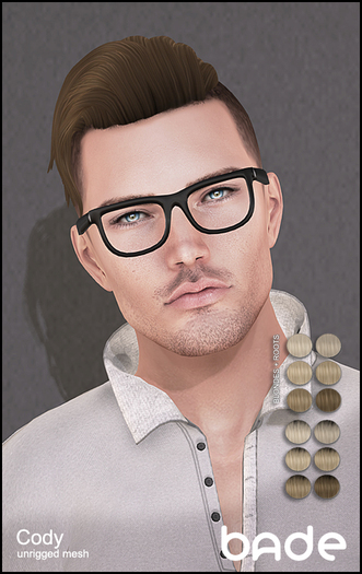 [bade] Cody BLONDES