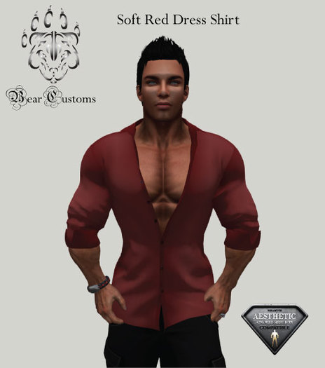 Soft Red Dress Shirt