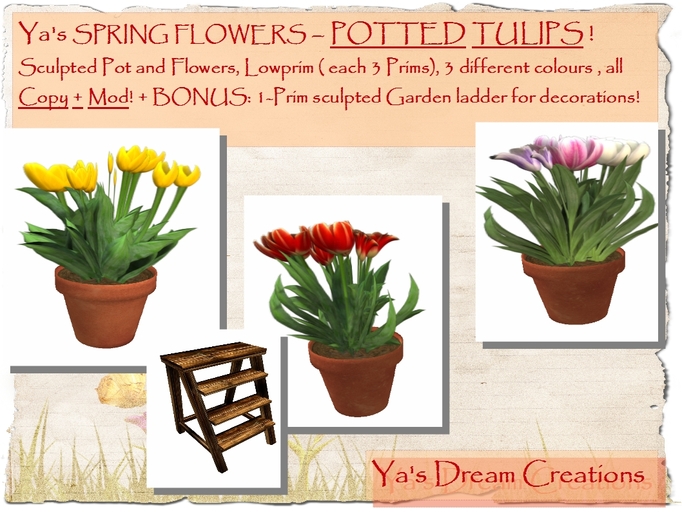 *Ya's* Tulips in 3 different colours- sculpted -Low Prim/ Copy+Mod
