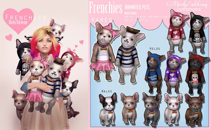 Alchemy - Doge -French bulldog - Frenchie RARE