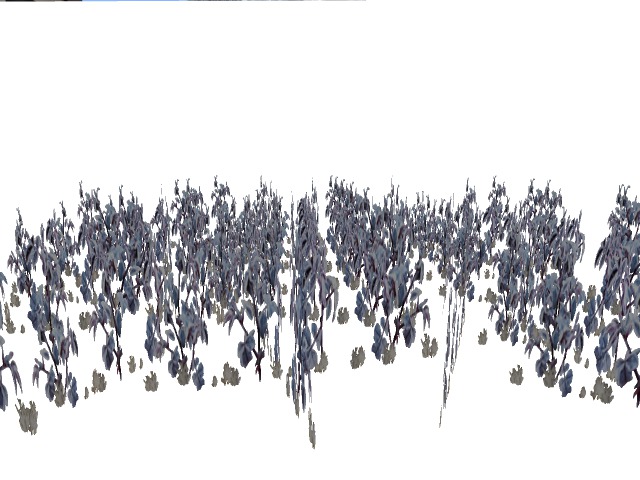 fields of frost