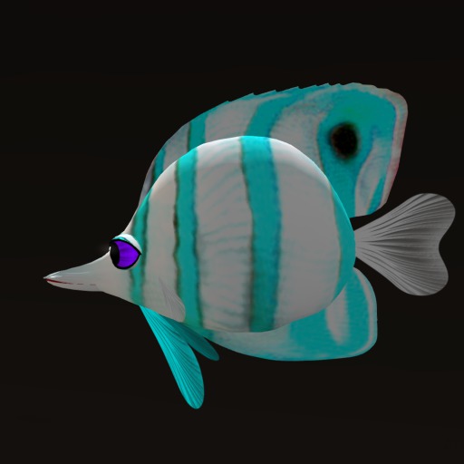 (7S) Common Fish: Blue Frost Fish