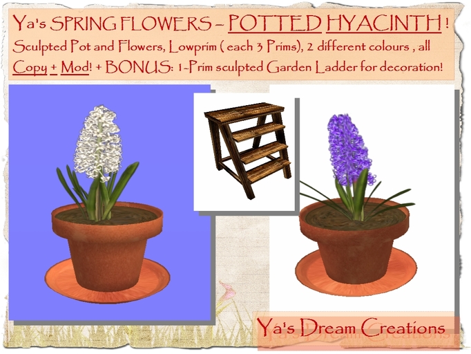 *Ya's* Potted Hyacinth - Lowprim - with Bonus Garden Ladder - Copy+Mod!