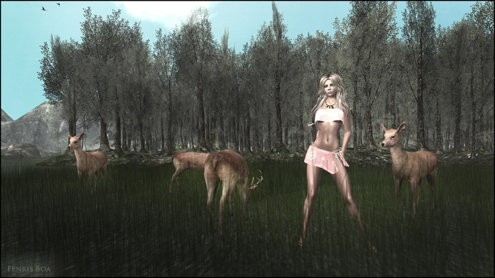 Such a Deer