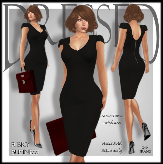 ::DBL:: Risky Business Mesh Dress & Briefcase ~ Plum
