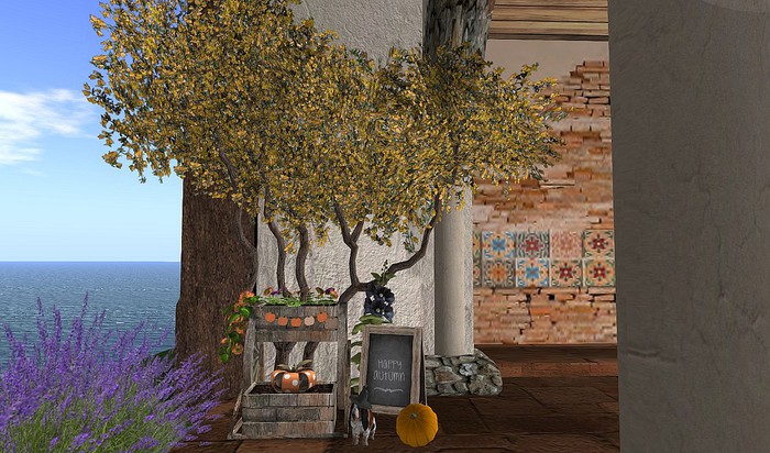 CJ Autumn Diana Wheel Planter ~ c + m ~