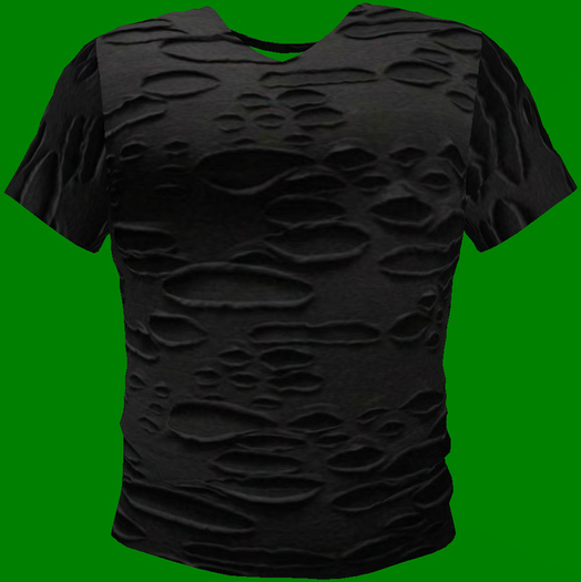 Decayed T-Shirt (Mesh)