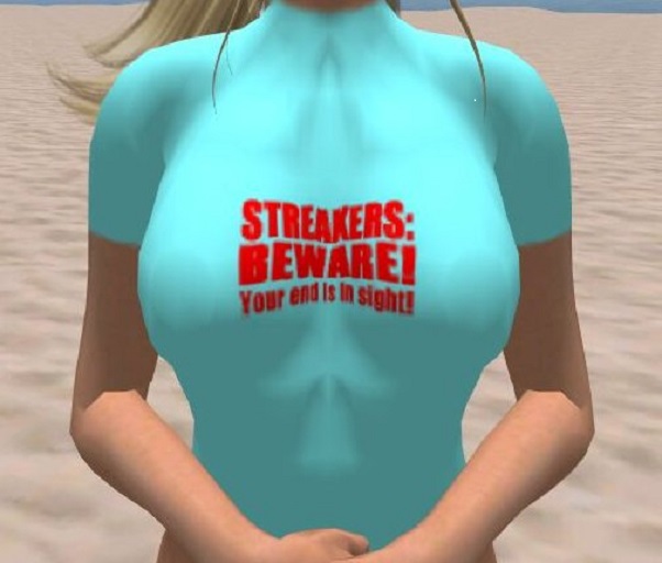 Streakers Beware T-Shirt
