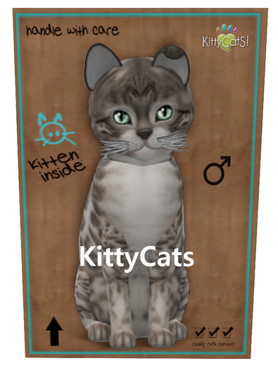 129 KittyCats Box - New Born Kitten