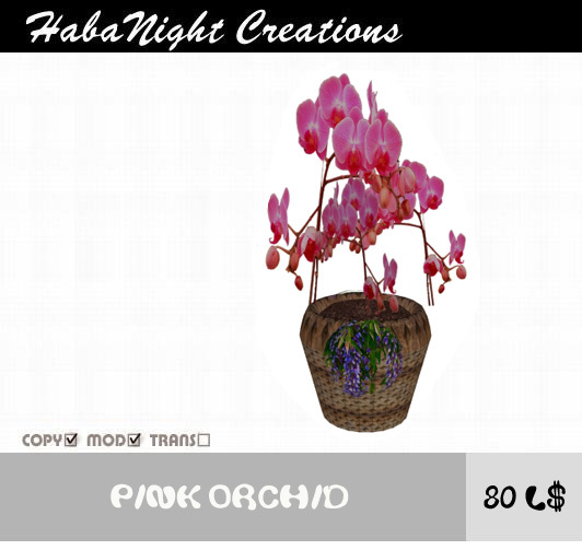 Potted Pink Orchid/COPY+Mod