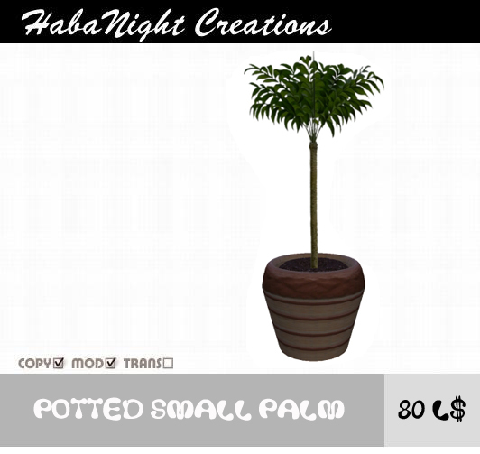 Potted small palm tree / COPY+MOD