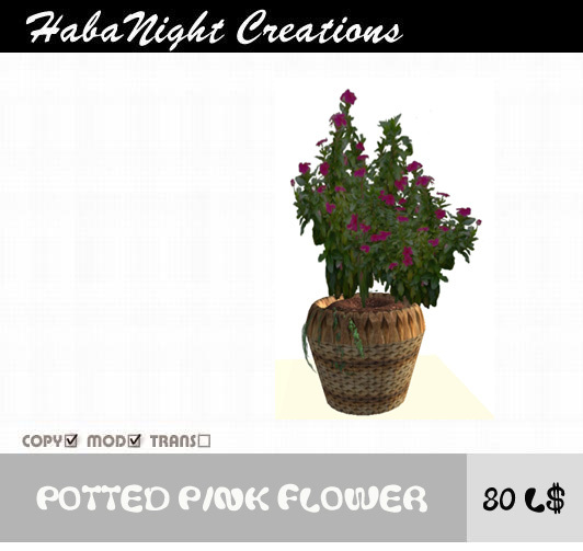 Potted Pink Flower/COPY+MOD