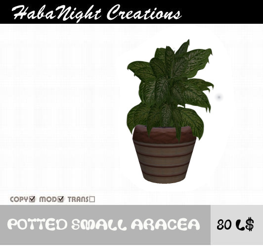 Potted Aracea / COPY + MOD