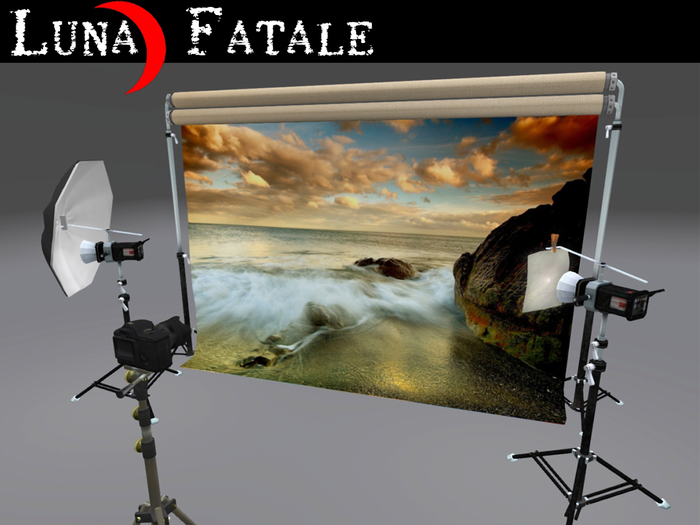 Photographers Portrait Backdrop Cloth v1.0 - C
