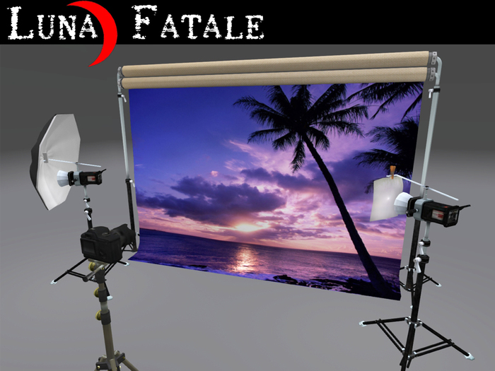 Photographers Portrait Backdrop Cloth v1.0 - C
