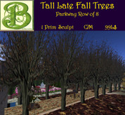 Tall Late Fall Trees, Parkway row of 8,  1 Prim 
