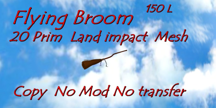 flying broom stick