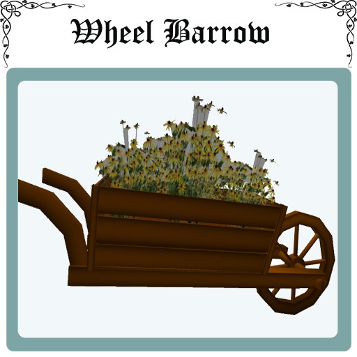 Wheel Barrow & wild flowers