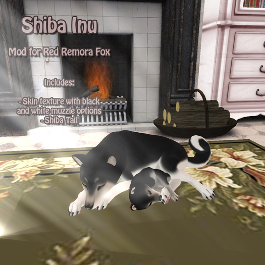 [WP]Black and Tan Shiba Inu for Red Remora Fox