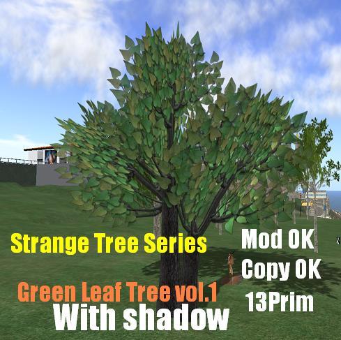 kyon-green-leaf tree