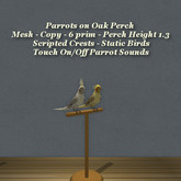 Parrots on Oak Perch