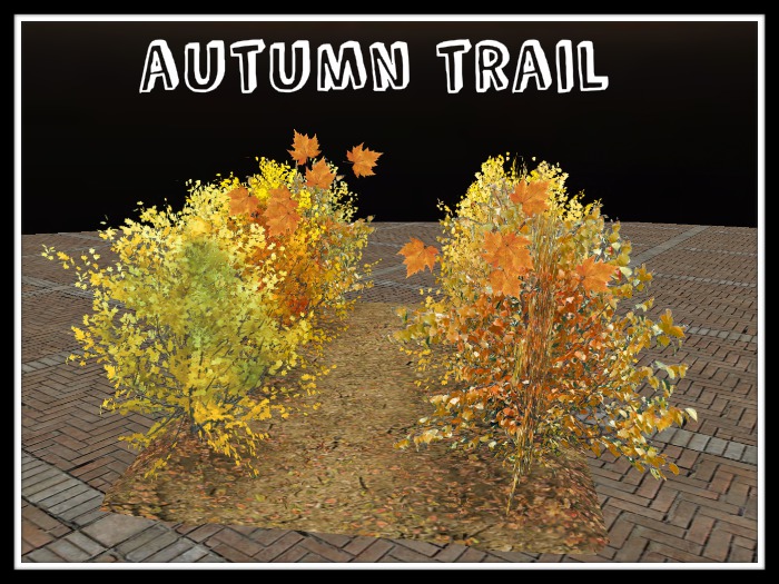 autumn trail