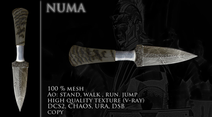 -Al Dragon- Numa (Pugio Roman)