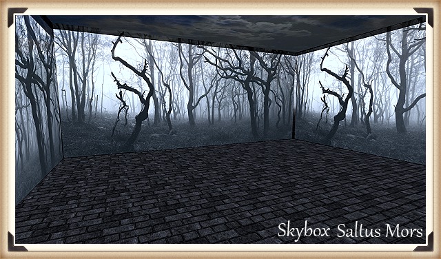 MESH SKYBOX SALTUS MORS