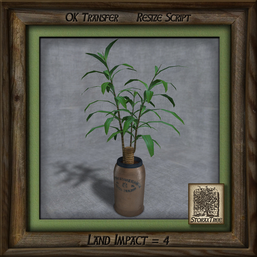 Seattle Loft Potted Plant Ab